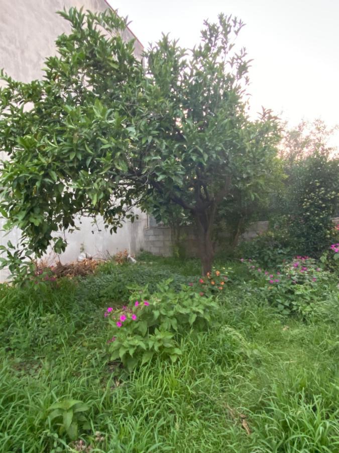 L'Incognita Bed & Breakfast San Nicolo d'Arcidano Екстериор снимка